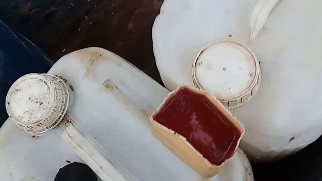 a dosagem certa do veneno jaguar смотреть онлайн