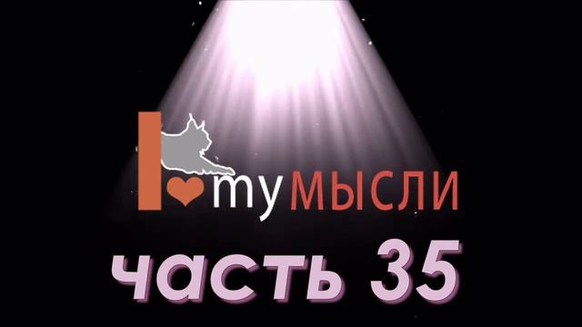 .Шарма Робин (часть 35) "Супер-Жизнь!" день 16 смотреть онлайн