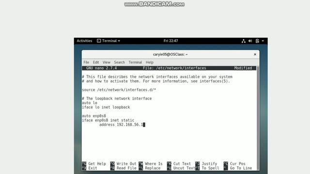 DEBIAN смотреть онлайн