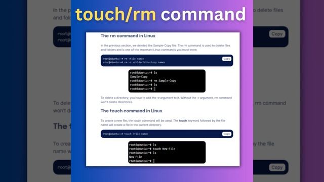 top 14 commands everyone must know смотреть онлайн
