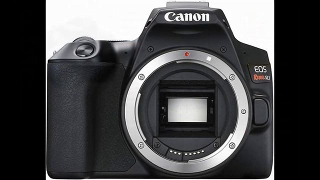 Top 3 DSLR Camera | The Best DSLR Camera in 2022 | Promarkit смотреть онлайн