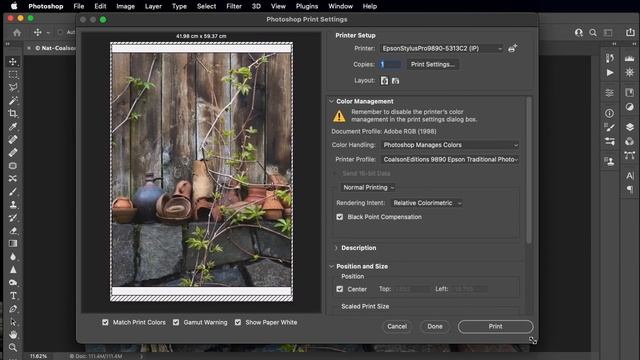 Epson SureColor SC-P700 & SC-P900 pt 2 смотреть онлайн
