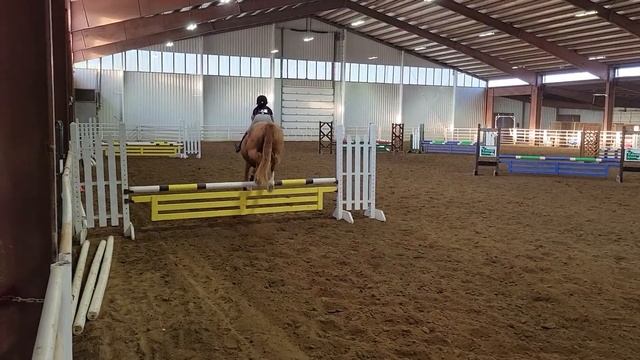 Equestrian Eve 2'6 Lakeside