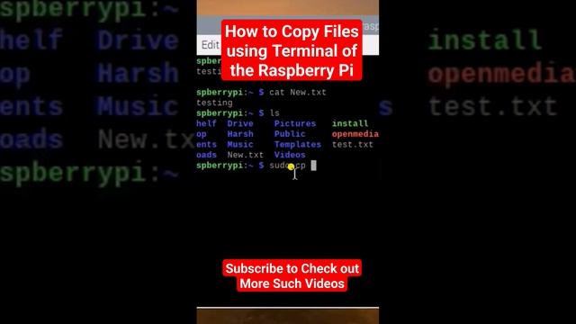 Copy files using #terminal of the #raspberrypi #linux #tech #technology #diy #learn #files смотреть онлайн
