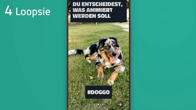 Top 8 besten Apps, die du haben musst! (kostenlos für Android & iOS) смотреть онлайн