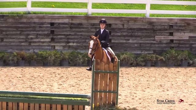 Natalie Coffin & Say Hello - Childrens Pony Htr Sunday - Spring Warm Up May 2019 смотреть онлайн