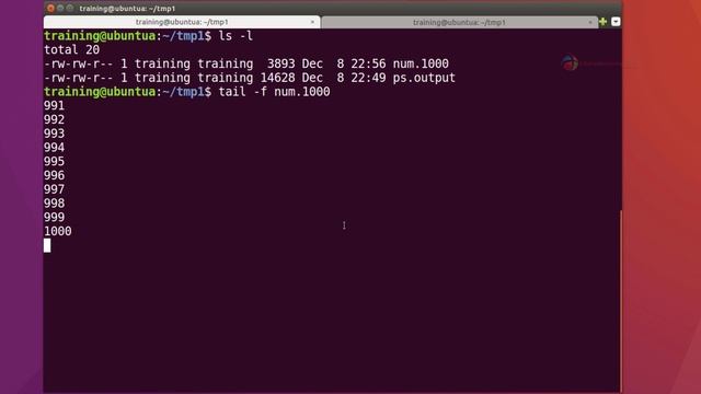 Using "tail" command смотреть онлайн