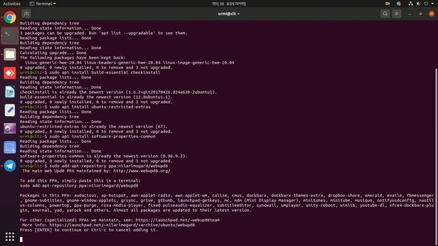 I Will Do Things To Do After Install Ubuntu 20.04 LTS Desktop Linux смотреть онлайн