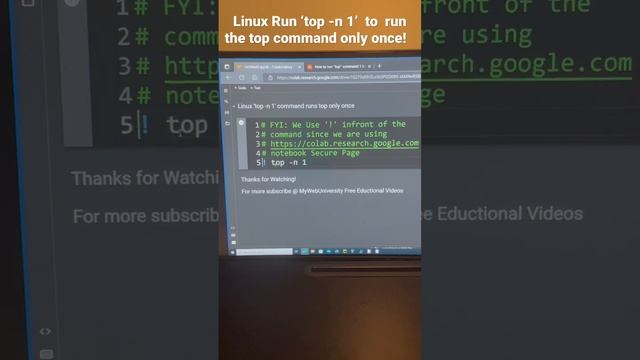 Linux Run ‘top -n 1’ to run the top command only once! смотреть онлайн
