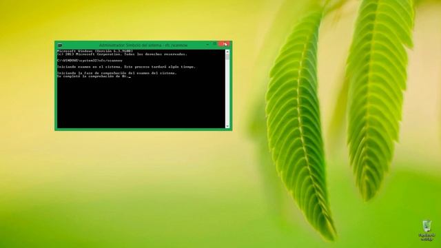 [SOLUCIONADO] Apps se cierran solas en Windows 8 смотреть онлайн