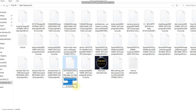 How to Decrypt (.lucky) and Recover Files || Phobos Ransomware Decryptor (SOLVED) смотреть онлайн