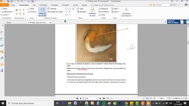 Software Foxit Reader смотреть онлайн