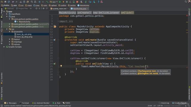 Part 68 Pet Bio App Part 1 смотреть онлайн
