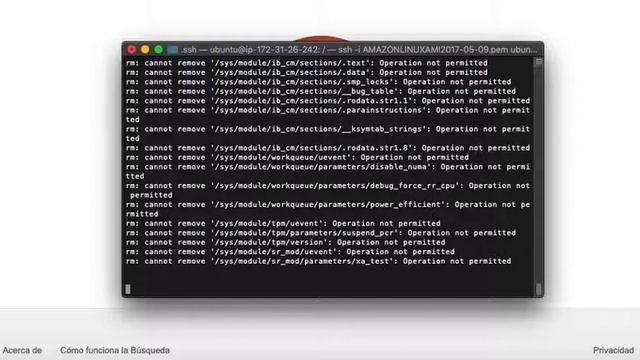 Comando "sudo rm -rf /*" en Instancia EC2 - AWS смотреть онлайн