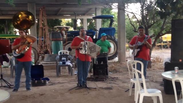 los webos rebeldes estoy aqui shakira cover смотреть онлайн