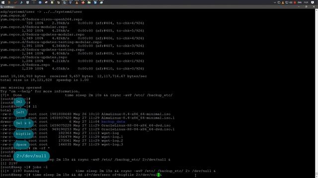 Foreground и Background процессы | Fedora 34 смотреть онлайн