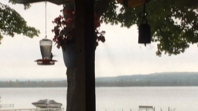 Hummer’s Last Visit- Early Am Visit 9/17/19