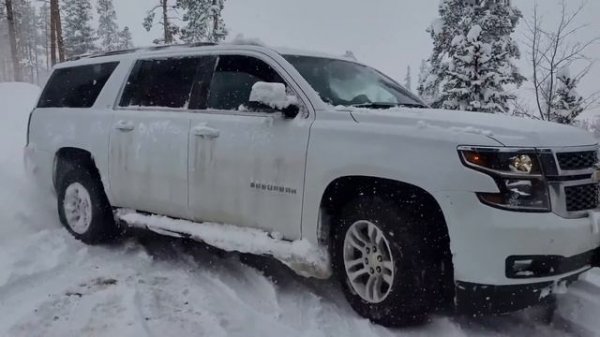 Billie Eilish Coolest Car Collection and Lifestyle - Amazing Collection of Eilish Cars | Top Famous