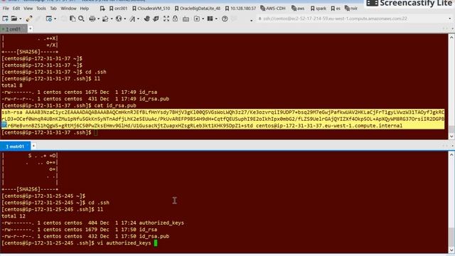 **older version** Enable password-less SSH access between linux servers смотреть онлайн