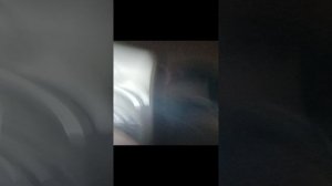 VID_20241023_085447.mp4