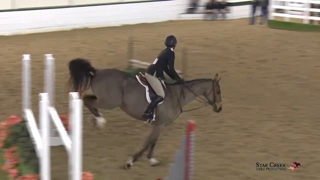 Katie Lomas & Swipe Right - Chld Htr - Ledges A2 Feb 2018