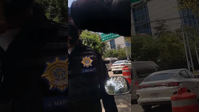 no entienden estos cerdos poletcias смотреть онлайн