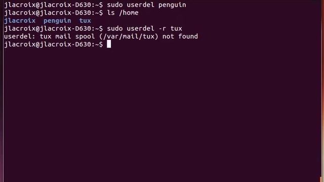 13 Linux Commands for Beginners Removing Users смотреть онлайн