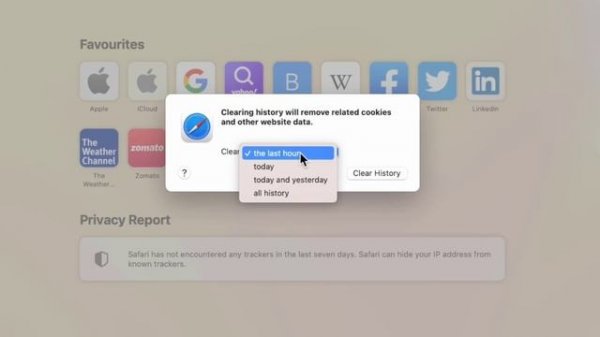 How to Delete Safari Browser History in MacBook (MacOS)