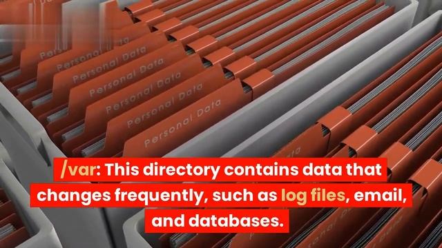 where data store by defulte storage area in linux смотреть онлайн