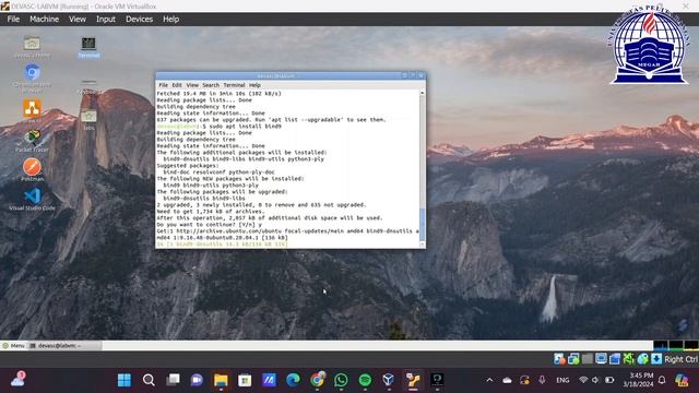 Install DNS Server pada Linux - Sistem Terdistribusi смотреть онлайн