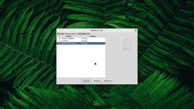 Linux Mint 21.3: Create XAMPP shortcut смотреть онлайн