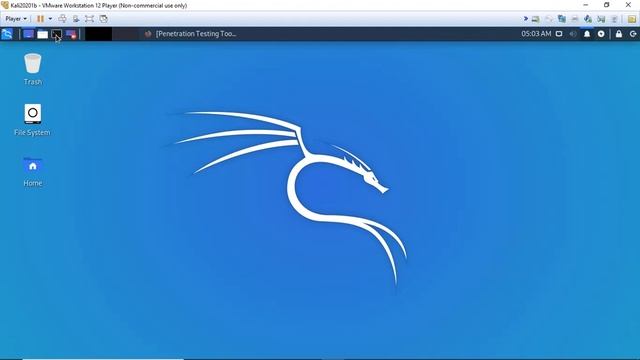 Basic Beginner Intro To The Kali Linux Environment смотреть онлайн
