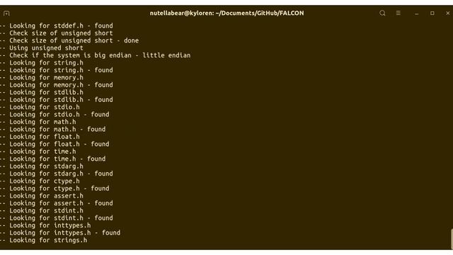 FALCON installation on your local workstation [Linux] смотреть онлайн