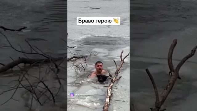 Браво герою смотреть онлайн