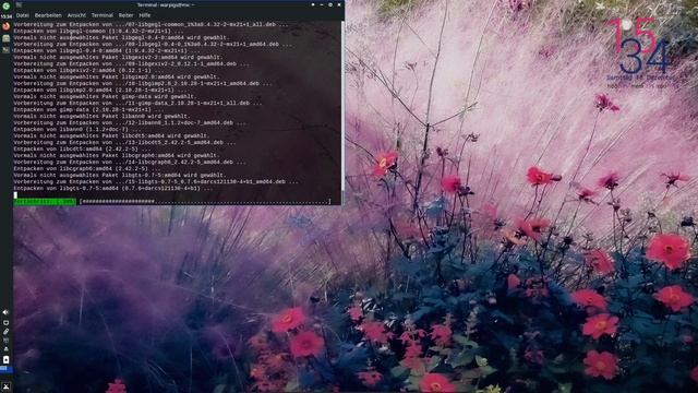 Betriebssystem: MX Linux смотреть онлайн