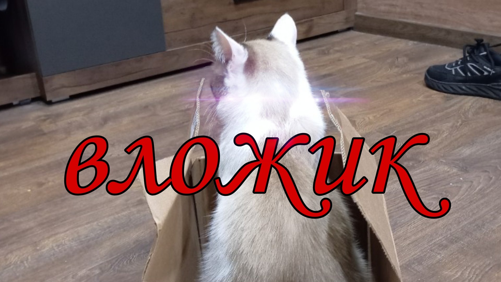 влог: испортили кофту/ закрыли дачный сезон