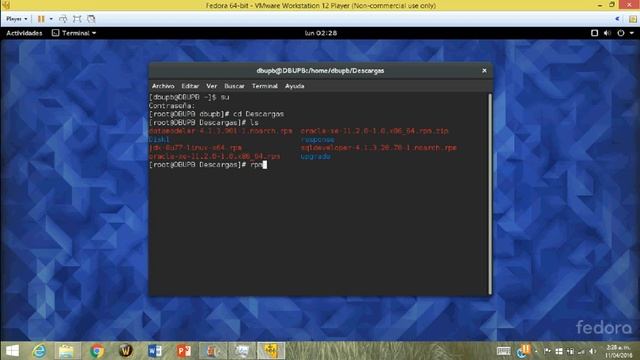 Oracle XE y SQLdevelopment en Fedora 23 смотреть онлайн
