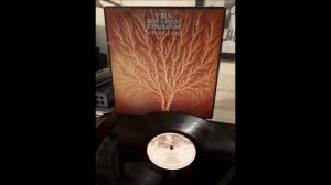 Van Der Graaf Generator   Still Life 1976