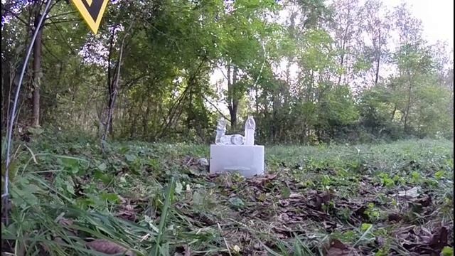 Ruger 10/22 , GoPro Hero3+ Black, and 240 Frames per second FUN смотреть онлайн