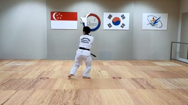 red belt pattern induk taekwondo смотреть онлайн
