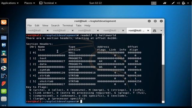 breaking the executable into sections(assembly language crash course) смотреть онлайн