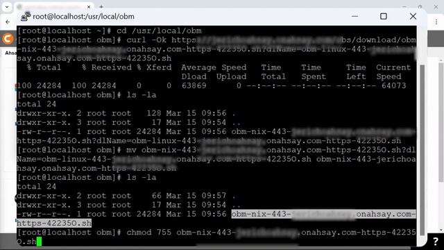 How to install AhsayOBM on Linux CLI (sh)? смотреть онлайн