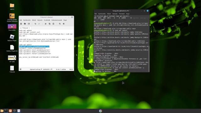 Plex Media szerver telepítése Linux Mintre! Tutorial#1 смотреть онлайн