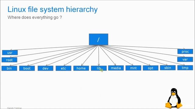 Linux File System Hierarchy смотреть онлайн