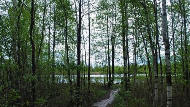 Значок слежки смотреть онлайн