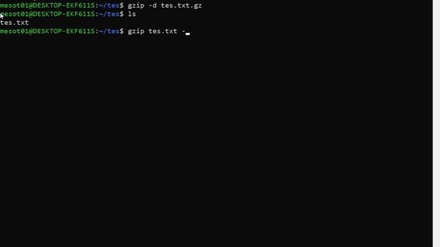 Cara kompress dan ekstrak file gz dan menggunakan gzip смотреть онлайн