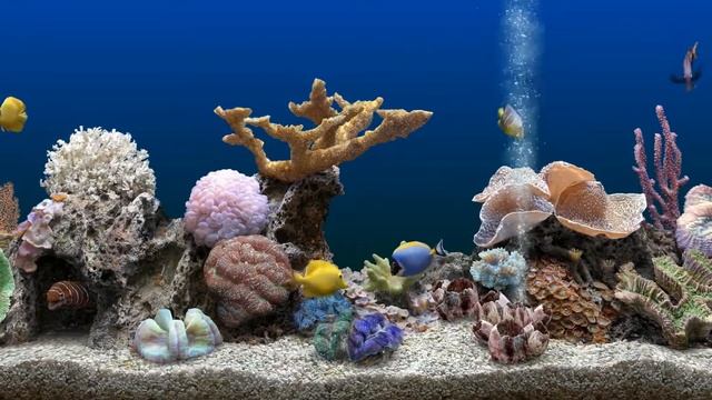 *Marine Aquarium Screensaver - Soothing bubble sounds - In HD смотреть онлайн