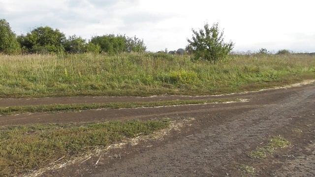 04\09\2023г на поле\около\села\родного грает\нижегор\гарм\самор\слухач\без\нот\академий\аспирантур\ смотреть онлайн