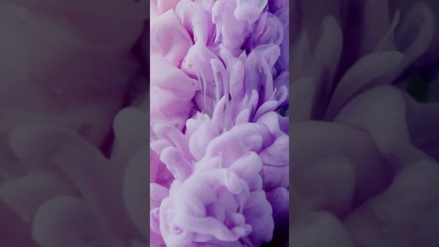 живые обои | живые обои на телефон смотреть онлайн