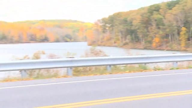 2017 Dodge Charger SXT Rallye смотреть онлайн